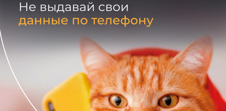 Информационные материалы по информированию граждан о правилах поведения в цифровом пространстве